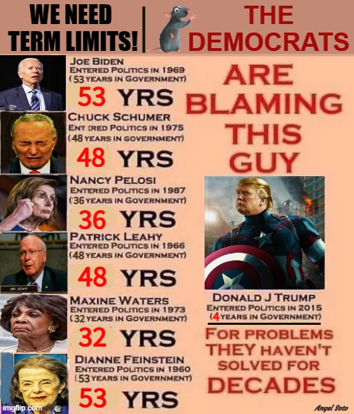 we need term limits | THE
DEMOCRATS; WE NEED
 TERM LIMITS! Angel Soto | image tagged in donald trump,joe biden,chuck schumer,nancy pelosi is crazy,maxine waters,dianne feinstein | made w/ Imgflip meme maker