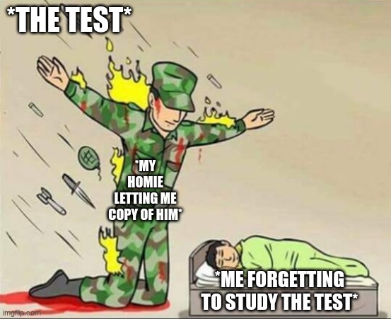 Soldier protecting sleeping child | *THE TEST*; *MY HOMIE LETTING ME COPY OF HIM*; *ME FORGETTING TO STUDY THE TEST* | image tagged in soldier protecting sleeping child | made w/ Imgflip meme maker