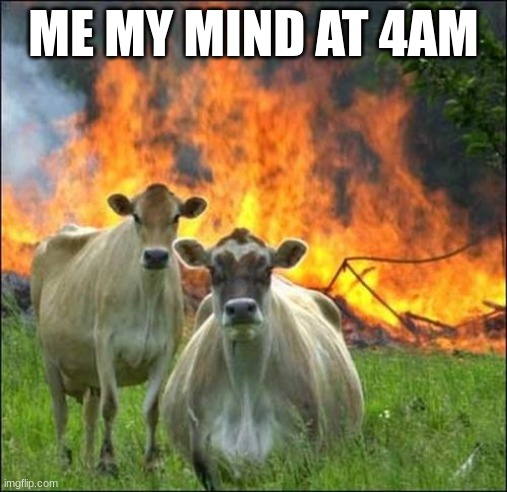 Evil Cows Meme | ME MY MIND AT 4AM | image tagged in memes,evil cows | made w/ Imgflip meme maker