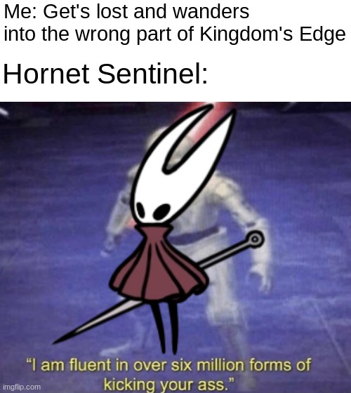 Reality Check Approaching | Me: Get's lost and wanders into the wrong part of Kingdom's Edge; Hornet Sentinel: | image tagged in i am fluent in over six million forms of kicking your ass,hollow knight,hornet,reality check,relatable,rip | made w/ Imgflip meme maker