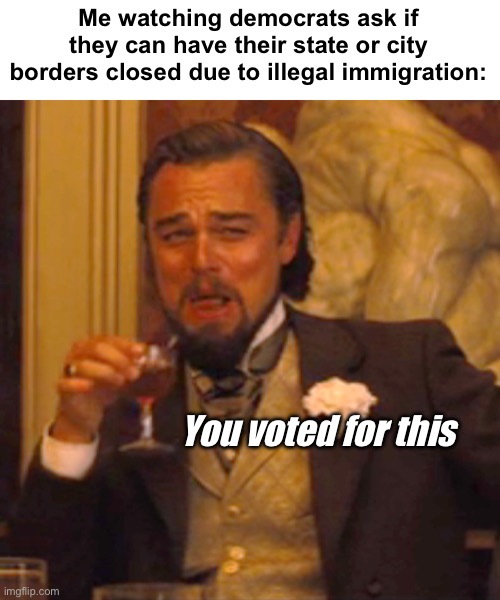 You were told this would happen but not smart enough to comprehend | Me watching democrats ask if they can have their state or city borders closed due to illegal immigration:; You voted for this | image tagged in memes,laughing leo,politics lol,border,stupid people | made w/ Imgflip meme maker