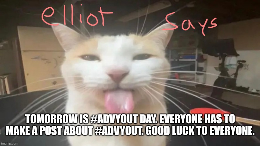 READ | TOMORROW IS #ADVYOUT DAY. EVERYONE HAS TO MAKE A POST ABOUT #ADVYOUT. GOOD LUCK TO EVERYONE. | image tagged in elliot says | made w/ Imgflip meme maker