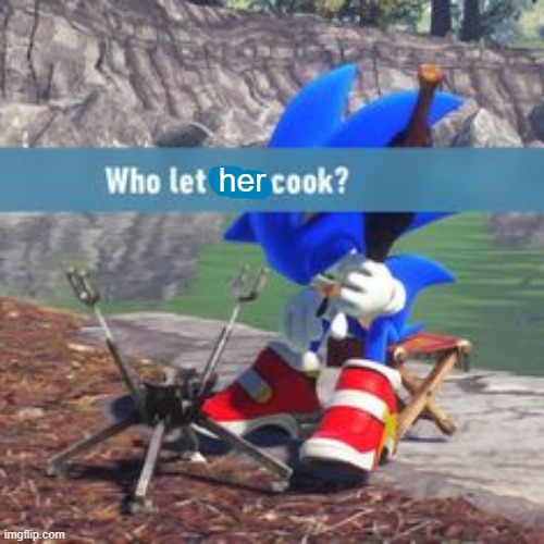 sonic who let him cook | her | image tagged in sonic who let him cook | made w/ Imgflip meme maker