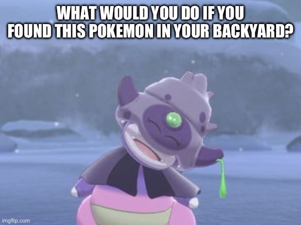 I honestly would make it my pet | WHAT WOULD YOU DO IF YOU FOUND THIS POKEMON IN YOUR BACKYARD? | image tagged in blank white template,pokemon,pokemon sword and shield | made w/ Imgflip meme maker
