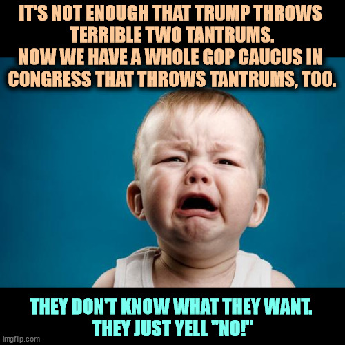 MAGA deep thinker | IT'S NOT ENOUGH THAT TRUMP THROWS 
TERRIBLE TWO TANTRUMS. NOW WE HAVE A WHOLE GOP CAUCUS IN 
CONGRESS THAT THROWS TANTRUMS, TOO. THEY DON'T KNOW WHAT THEY WANT. 
THEY JUST YELL "NO!" | image tagged in baby crying,gop,republican,congress,childish | made w/ Imgflip meme maker