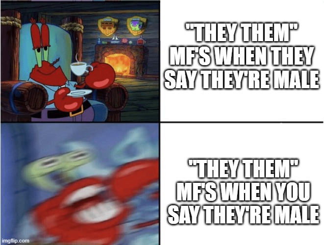 agree with me | "THEY THEM" MF'S WHEN THEY SAY THEY'RE MALE; "THEY THEM" MF'S WHEN YOU SAY THEY'RE MALE | image tagged in mr krabs calm then angry | made w/ Imgflip meme maker