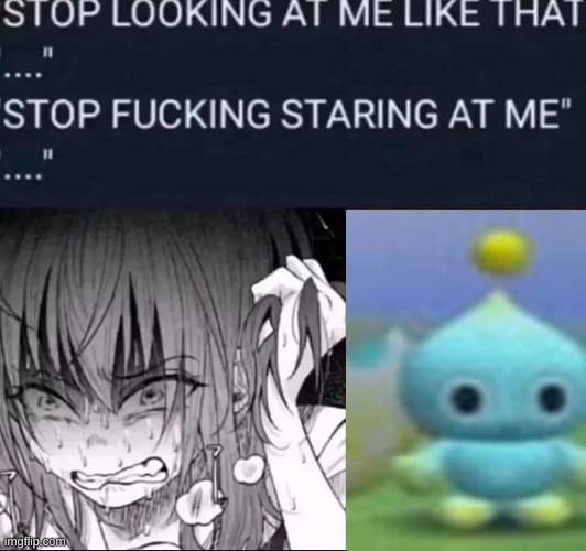 image tagged in stop looking at me like that stop fucking staring at me | made w/ Imgflip meme maker
