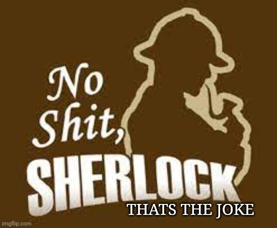 No shit sherlock | THATS THE JOKE | image tagged in no shit sherlock | made w/ Imgflip meme maker