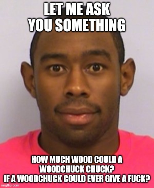 Tyler the Creator Weird Face | LET ME ASK YOU SOMETHING HOW MUCH WOOD COULD A WOODCHUCK CHUCK?
IF A WOODCHUCK COULD EVER GIVE A FUCK? | image tagged in tyler the creator weird face | made w/ Imgflip meme maker