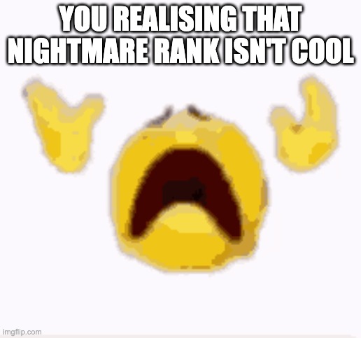 nooooo | YOU REALISING THAT NIGHTMARE RANK ISN'T COOL | image tagged in bedwars | made w/ Imgflip meme maker