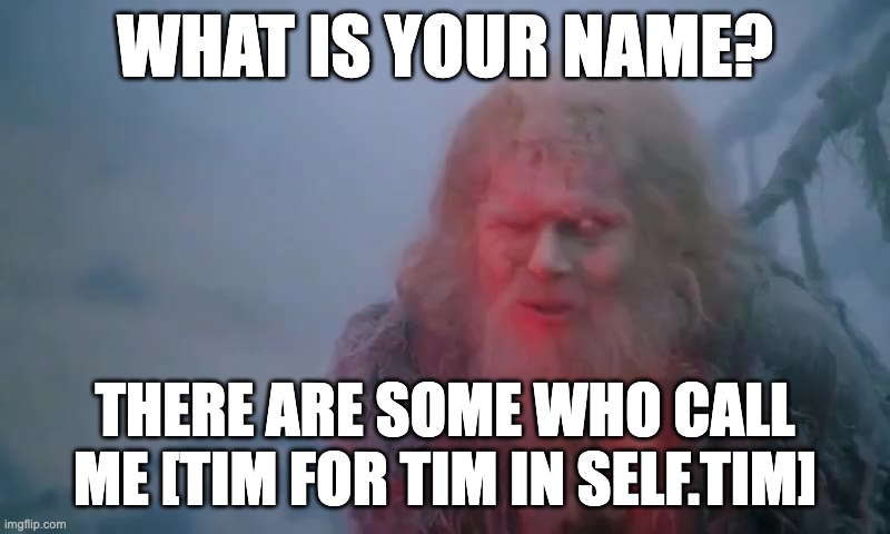 What Is Your Name? | WHAT IS YOUR NAME? THERE ARE SOME WHO CALL ME [TIM FOR TIM IN SELF.TIM] | image tagged in what is your name | made w/ Imgflip meme maker