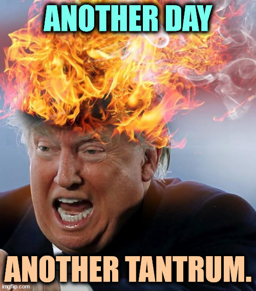 Trump hair on fire liar narcissist infantile angry | ANOTHER DAY; ANOTHER TANTRUM. | image tagged in trump hair on fire liar narcissist infantile angry,trump,angry,tantrum,angry baby | made w/ Imgflip meme maker