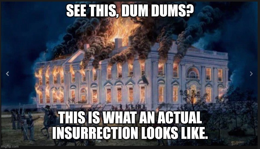 Tourists | SEE THIS, DUM DUMS? THIS IS WHAT AN ACTUAL INSURRECTION LOOKS LIKE. | image tagged in tourists | made w/ Imgflip meme maker