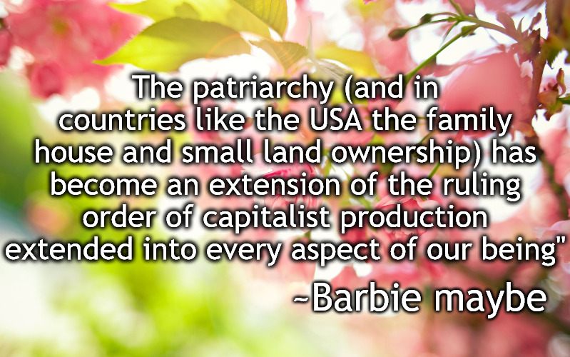 Pretty pink flowers | The patriarchy (and in countries like the USA the family house and small land ownership) has become an extension of the ruling order of capitalist production extended into every aspect of our being"; ~Barbie maybe | image tagged in pretty pink flowers,capitalism,barbie,patriarchy | made w/ Imgflip meme maker