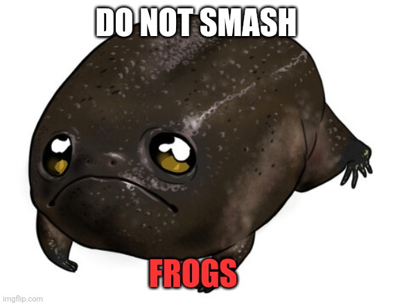 DO NOT SMASH FROGS | made w/ Imgflip meme maker