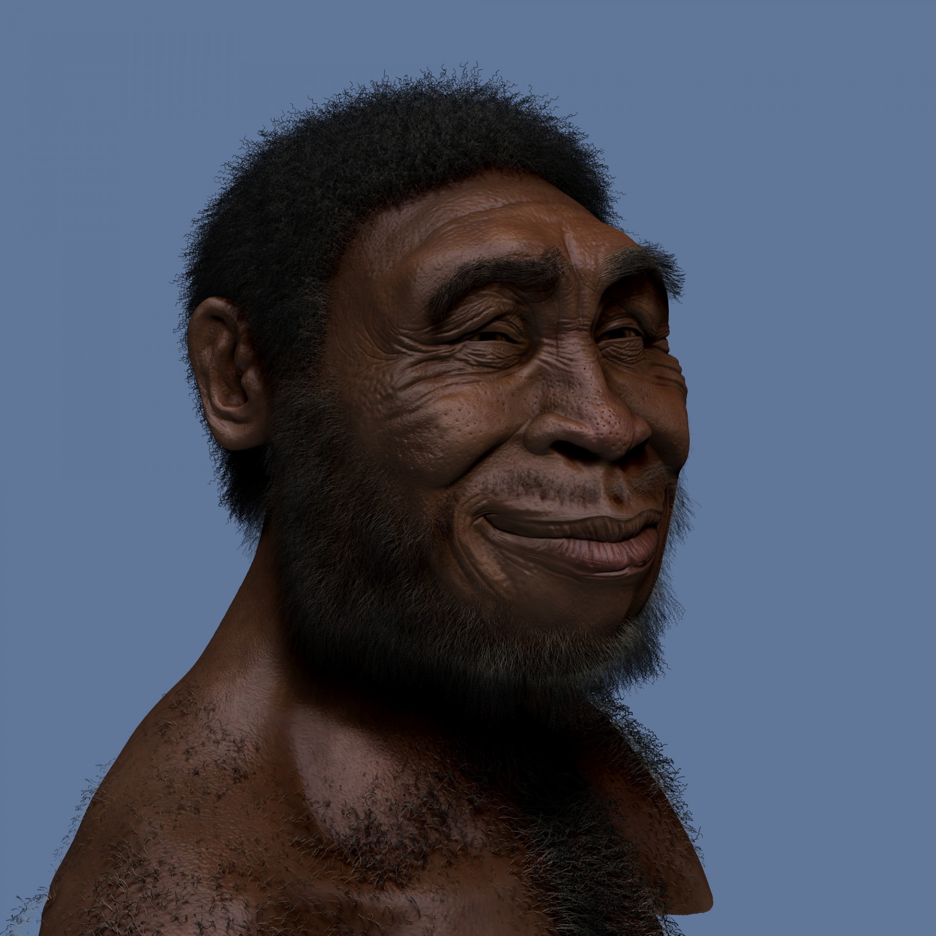 Homo erectus Blank Meme Template