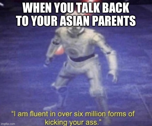 I am fluent in over six million forms of kicking your ass | WHEN YOU TALK BACK TO YOUR ASIAN PARENTS | image tagged in i am fluent in over six million forms of kicking your ass | made w/ Imgflip meme maker
