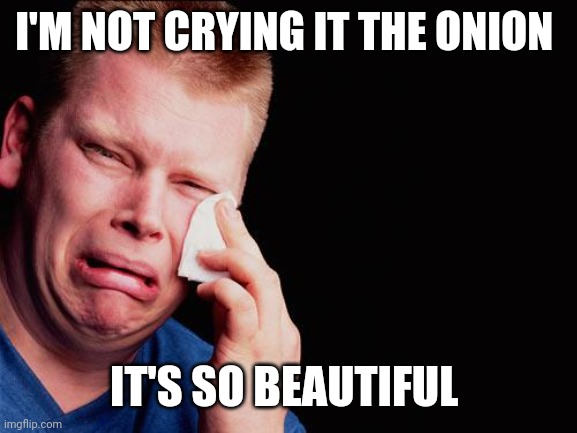 cry | I'M NOT CRYING IT THE ONION IT'S SO BEAUTIFUL | image tagged in cry | made w/ Imgflip meme maker