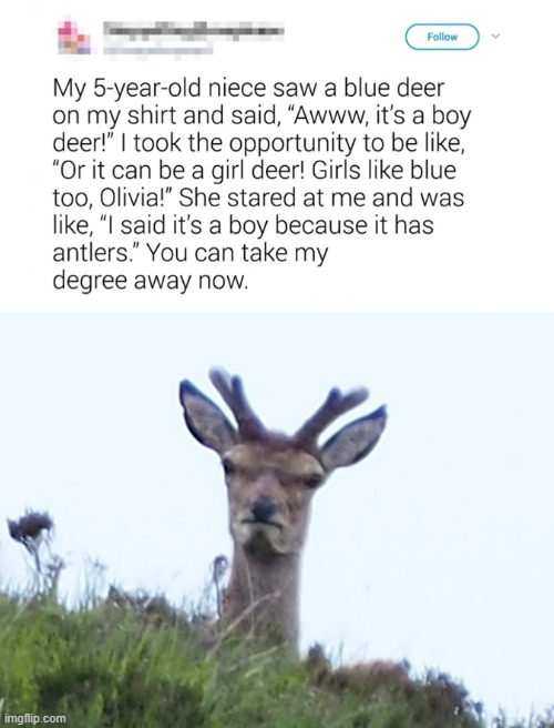 furious deer | image tagged in furious deer,shirt,deer,antlers | made w/ Imgflip meme maker