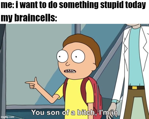 its that simple | me: i want to do something stupid today; my braincells: | image tagged in morty i'm in,relatable memes,school memes,rick and morty,memes | made w/ Imgflip meme maker
