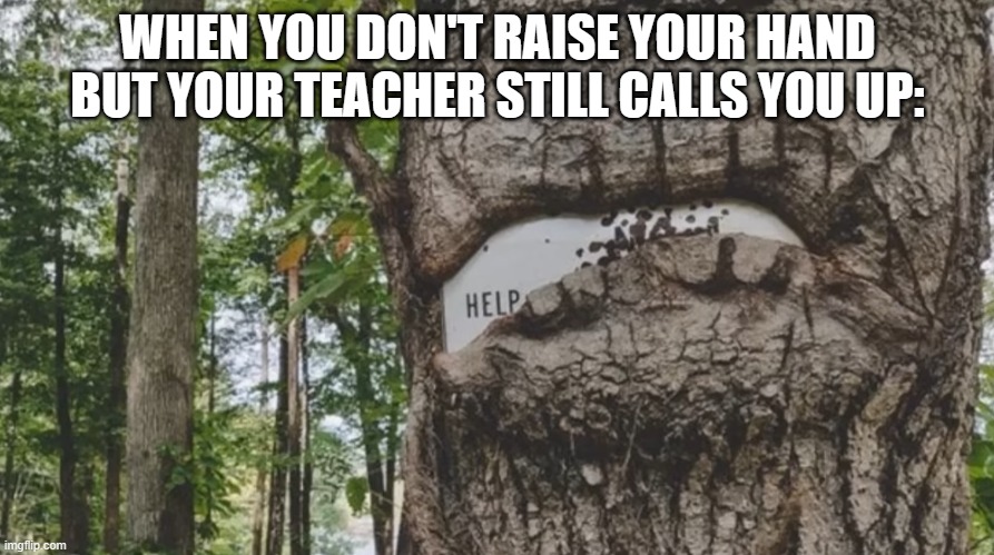 WHEN YOU DON'T RAISE YOUR HAND BUT YOUR TEACHER STILL CALLS YOU UP: | image tagged in sign,tree,help | made w/ Imgflip meme maker
