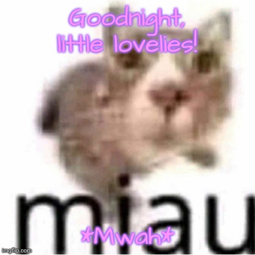 >w< -ABDA, 2023 | Goodnight, little lovelies! *Mwah* | image tagged in miau,lovelies | made w/ Imgflip meme maker