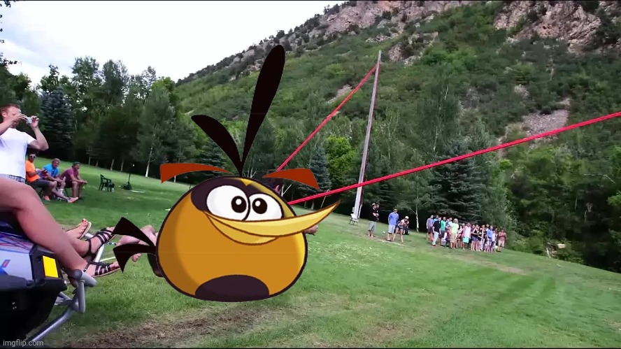 slingshot human border wall | image tagged in slingshot human border wall | made w/ Imgflip meme maker