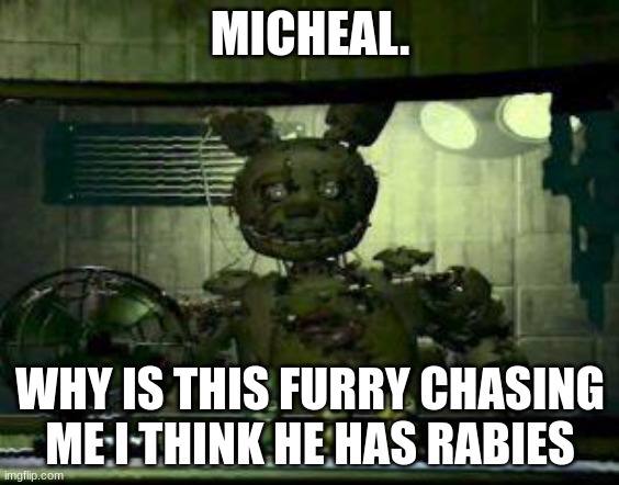 micheal | MICHEAL. WHY IS THIS FURRY CHASING ME I THINK HE HAS RABIES | image tagged in fnaf springtrap in window,fnaf | made w/ Imgflip meme maker