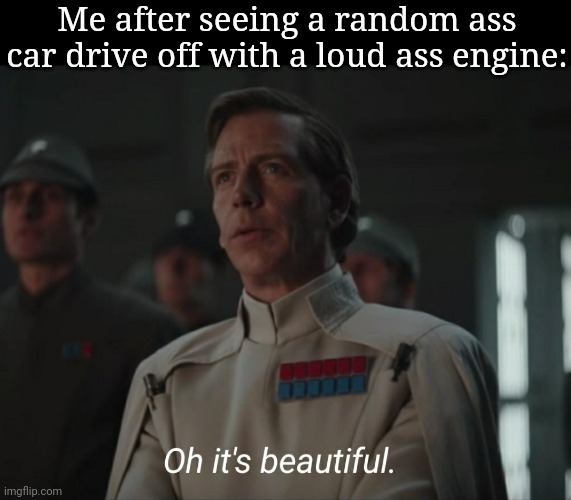 I like the sound | Me after seeing a random ass car drive off with a loud ass engine: | image tagged in oh it's beautiful | made w/ Imgflip meme maker