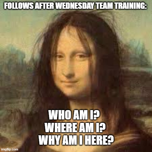 Monalisa messy hair meme | FOLLOWS AFTER WEDNESDAY TEAM TRAINING:; WHO AM I? 
WHERE AM I?
 WHY AM I HERE? | image tagged in monalisa messy hair meme | made w/ Imgflip meme maker