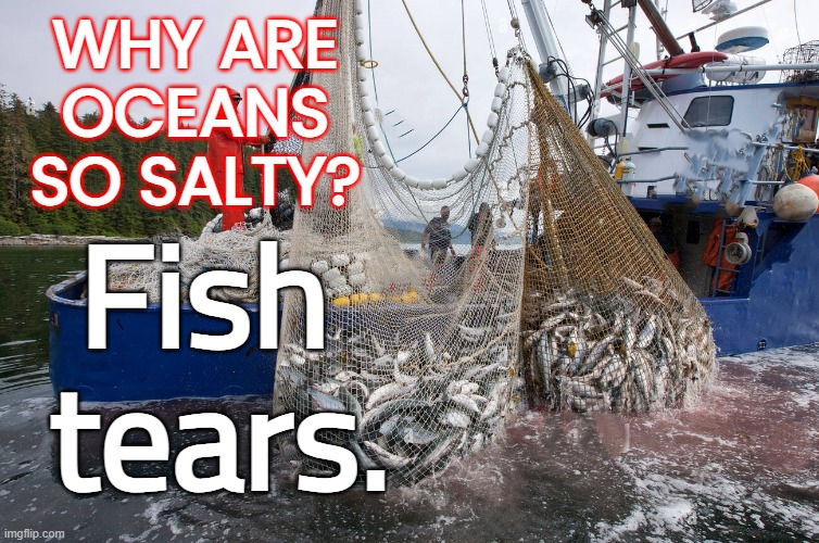 Fish Tears | WHY ARE OCEANS SO SALTY? Fish  tears. | image tagged in save the oceans,fish tears | made w/ Imgflip meme maker