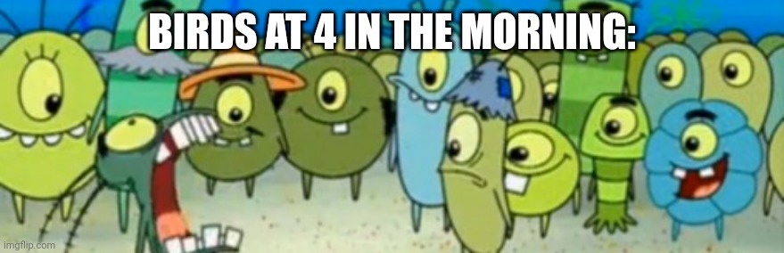Y they always loud | BIRDS AT 4 IN THE MORNING: | image tagged in fun,plankton,funny,funny menes,irl | made w/ Imgflip meme maker