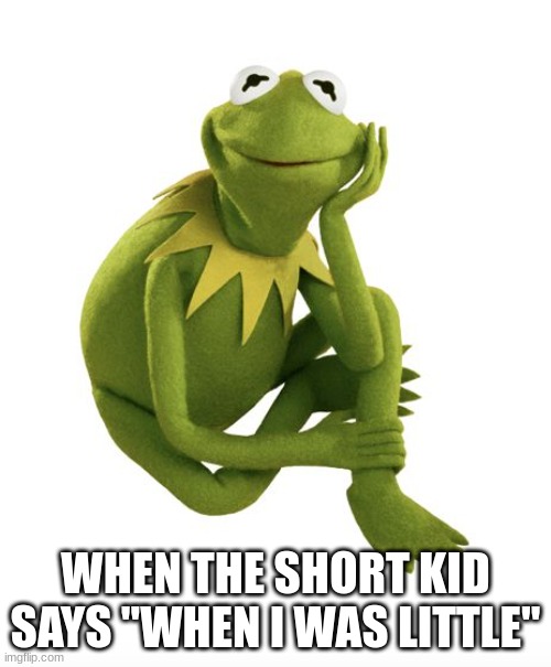 Uh huh sure | WHEN THE SHORT KID SAYS "WHEN I WAS LITTLE" | image tagged in oh really kermit | made w/ Imgflip meme maker