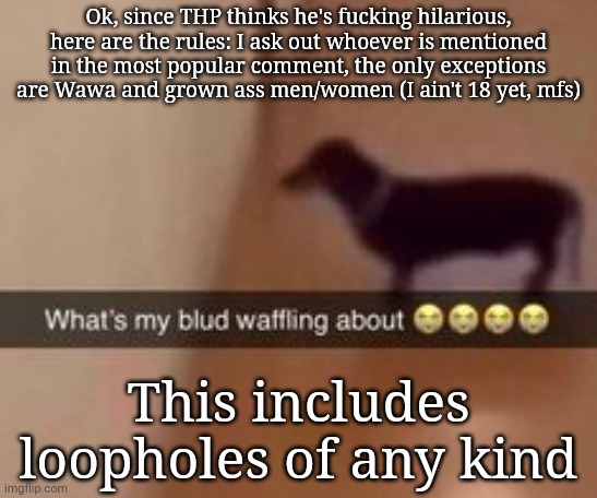 What's my blud waffling about | Ok, since THP thinks he's fucking hilarious, here are the rules: I ask out whoever is mentioned in the most popular comment, the only exceptions are Wawa and grown ass men/women (I ain't 18 yet, mfs); This includes loopholes of any kind | image tagged in what's my blud waffling about | made w/ Imgflip meme maker