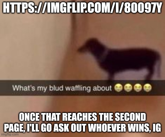 What's my blud waffling about | HTTPS://IMGFLIP.COM/I/80097Y; ONCE THAT REACHES THE SECOND PAGE, I'LL GO ASK OUT WHOEVER WINS, IG | image tagged in what's my blud waffling about | made w/ Imgflip meme maker