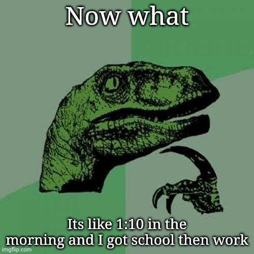 Philosoraptor | Now what; Its like 1:10 in the morning and I got school then work | image tagged in memes,philosoraptor | made w/ Imgflip meme maker