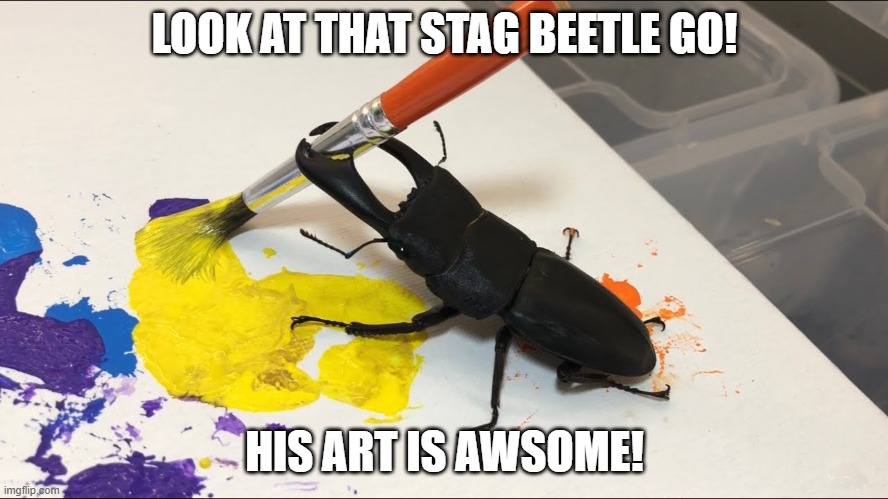 wow | LOOK AT THAT STAG BEETLE GO! HIS ART IS AWSOME! | image tagged in stag beetle painting,stag beetle,beetle,memes | made w/ Imgflip meme maker