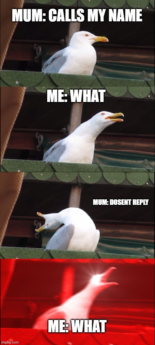 Inhaling Seagull Meme | MUM: CALLS MY NAME; ME: WHAT; MUM: DOSENT REPLY; ME: WHAT | image tagged in memes,inhaling seagull | made w/ Imgflip meme maker