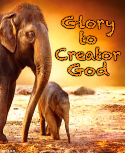 Imagination | Glory
to
Creator
God | image tagged in memes,adam named them all | made w/ Imgflip meme maker