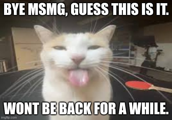 i broke sally's heart and im a fucking dissapointment | BYE MSMG, GUESS THIS IS IT. WONT BE BACK FOR A WHILE. | image tagged in cat | made w/ Imgflip meme maker