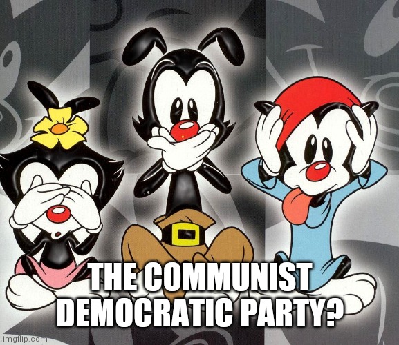 animaniacs | THE COMMUNIST DEMOCRATIC PARTY? | image tagged in animaniacs | made w/ Imgflip meme maker