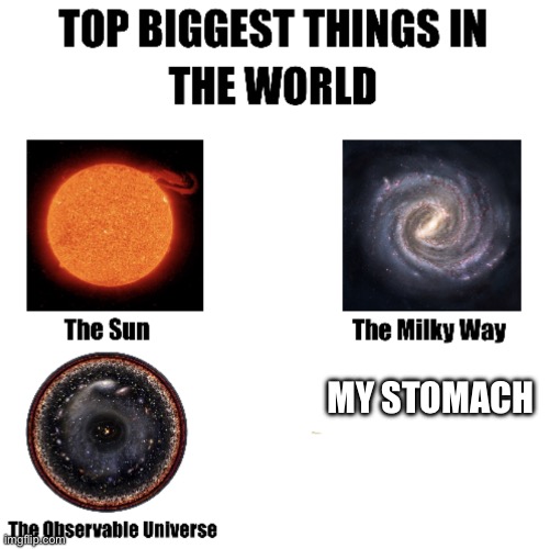 Top biggest things in the world | MY STOMACH | image tagged in top biggest things in the world,a | made w/ Imgflip meme maker