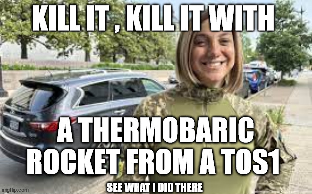 KILL IT , KILL IT WITH; A THERMOBARIC ROCKET FROM A TOS1; SEE WHAT I DID THERE | made w/ Imgflip meme maker