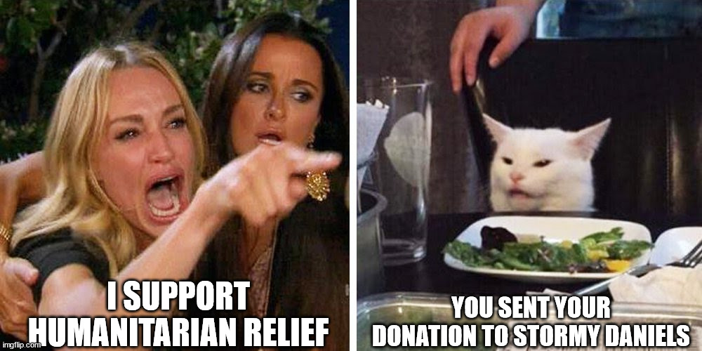 Smudge the cat | I SUPPORT HUMANITARIAN RELIEF; YOU SENT YOUR DONATION TO STORMY DANIELS | image tagged in smudge the cat | made w/ Imgflip meme maker