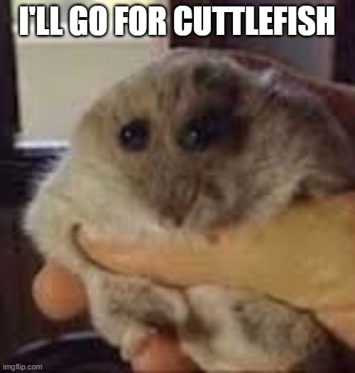 hampter | I'LL GO FOR CUTTLEFISH | image tagged in hampter | made w/ Imgflip meme maker