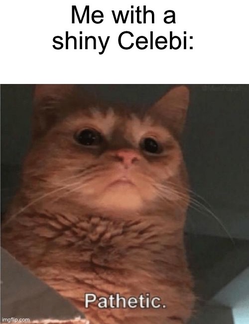 Pathetic Cat | Me with a shiny Celebi: | image tagged in pathetic cat | made w/ Imgflip meme maker