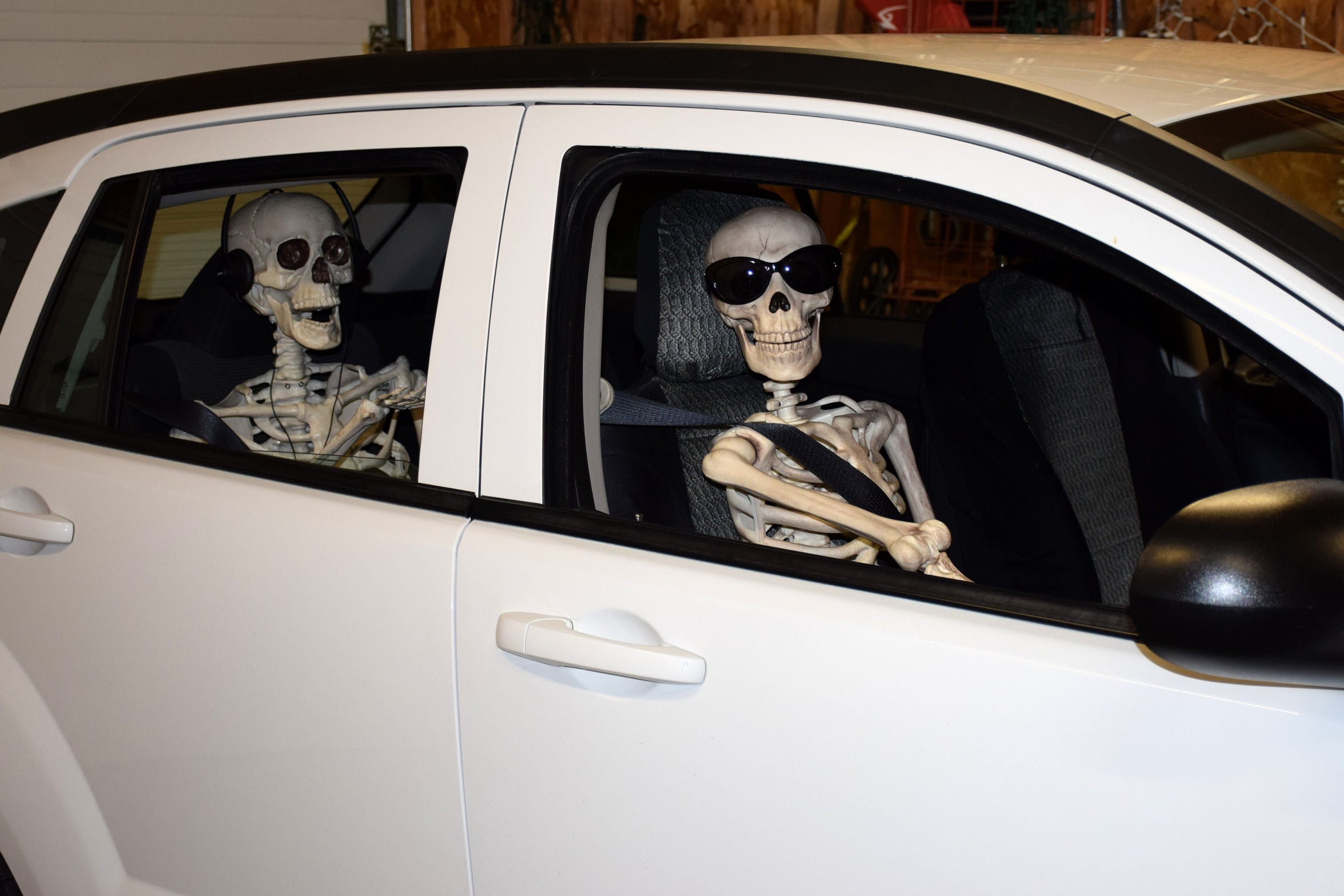 Skeletons in car Blank Meme Template