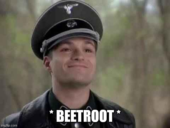 grammar nazi | * BEETROOT * | image tagged in grammar nazi | made w/ Imgflip meme maker
