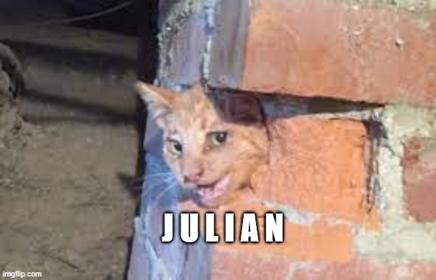 J U L I A N | J U L I A N | image tagged in animals | made w/ Imgflip meme maker