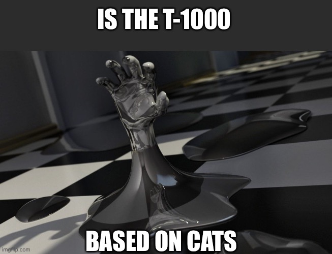 IS THE T-1000 BASED ON CATS | made w/ Imgflip meme maker